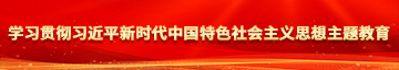 欧美肏泌学习贯彻习近平新时代中国特色社会主义思想主题教育